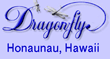 Soulwork systemic coaching in America & Hawaii